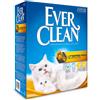 wonderfood Everclean Lettiera Gatto Litterfree Paws 6 Lt 5,8 Kg (Sostituisce Everclean Less Trail )