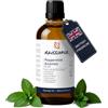 Naissance Olio Essenziale di Menta (No. 107) 100ml - 100% Puro, Naturale, Cruelty Free, Vegan e Non Diluito - Usato in Aromaterapia, Miscele da Massaggio e Diffusori - Aroma Dolce e Fresca