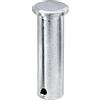 Alberts 417130 Bullone per Cerniere per cancelli, Acciaio Inox