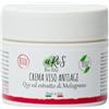 aRiS Bio Etic Crema viso antiage Q10 ed estratto di melograno Bio