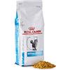 Royal Canin C-58271 Dieta Felina Ipoallergenico - 2,5 kg