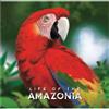 Bad Comet Life of the Amazonia