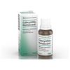 BIOLOGISCHE HEILM. HEEL GMBH COLOCYNTHIS HOMACCORD*GTT 30ML