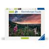 RAVENSBURGER 00793 PUZZLE DA 1000 PZ. DREAMY THUNDER