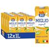 ISOLA BIO Bevanda di Miglio Biologica, Senza Zuccheri Aggiunti, 100% Ingredienti Naturali, Senza Glutine, a Basso Contenuto di Grassi, per Vegetariani e Vegani, 12 Confezioni da 1 Litro