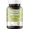ALGILIFE LIFEPLAN Maitake Mushroom | Integratore alimentare a base di grifola frondosa, funghi medicinali | Difese immunitarie adulti, dieta, brucia grassi, fegato grasso (60 capsule, scorta 1-2 mesi)