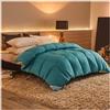HonunGron Trapunta Invernale, Piumone Invernale Matrimoniale in Piuma d'Oca 780 gr/mq, Piumone Matrimoniale 4 Stagioni, Piumino Caldo per la Casa e l'hotel (Blu,220x240cm(5kg))