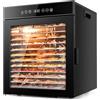 Kwasyo Essiccatore Alimentare 12 Vassoi in Acciaio Inox, Tutto Nero, Struttura a Doppio Strato, Grande Capacità, Essiccatore Commerciale per Frutta, Pesce, Verdure, Carne, Jerky, Erbe, 900W