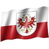 Sportfanshop24 Bandiera SÜDTIROL con stemma, bandiera dello Stato/bandiera dello Stato, 150 x 90 cm, bianco, rosso, giallo, per interni ed esterni, ottima qualità