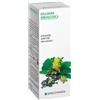 Specchiasol Cardo Mariano 6 Tintura Madre 50ml