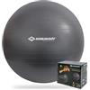 Schildkröt Ballon de Gymnastique pour Adulte 65 cm, Argenté