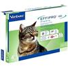 Animal Love Pet Shop EFFIPRO DUO GATTO