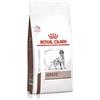 Royal Canin Cane - Veterinary Diet - Hepatic - 1,5 Kg