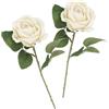 arrderly 2 rose artificiali bianche con stelo, pianta artificiale, rose in seta, stelo singolo, realistiche, bouquet di rose finte per matrimoni, addio al nubilato, decorazioni per casa e giardino