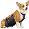 Deno Fascia per la pancia in tessuto per cani, Involucro per cani maschio traspirante, pannolino per pipì per cani maschio, Involucri regolabili e a prova di perdite per cani di taglia grande indoorr Deno