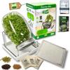 Green SEEDS Set di vasetti di germogli da 1 x 1000ml con Coperchio a griglia in Acciaio Inox di Alta qualità, Supporto, Ciotola in Ceramica + Germogli ABC GRATUITI [E-Book]
