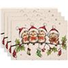 Bseical 4 Pezzi Tovagliette Natalizie, 45x30 cm Sottopiatti Natalizi, Lino Tovagliette Lavabili, Antiscivolo Sottopiatti Natale, Sottopiatto Natalizio Per La Tavola E Decorazioni Natalizie (C, Quadrato)