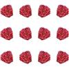 Dxmcgttbd 12 Pezzi pompon da cheerleader,Cheerleading Pom,Fiore a Mano Cheerleader,pom pom cheerleader,per Ballare, Cheerleading, Feste Sportive,riutilizzabili. (Rot)