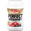WHY SPORT PERFECT 100% WHEY Proteine Isolate gusto COOKIES CREAM 450g + OMAGGIO