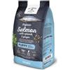 Go Native Puppy Salmone Biologico, Spinaci e Zenzero - 12 Kg