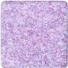 Mulac Glitter Pressato Refill BERRY 2017 - Ombretto compatto