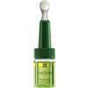 Rene Furterer Triphasic Progressive - Traitement Antichute Progressive 8x5.5ml - Trattamento Anticaduta Capelli