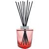 MAISON BERGER PARIS Bouquet Parfumé Bouquet Terra Rouge (Senza Profumo) - Diffusore di Profumo