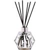 MAISON BERGER PARIS Bouquet Parfumé Bouquet Geometry Transparent (senza profumo) - Diffusore di Profumo