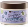 LA SAPONARIA Capelli e Cute Maschera anti-giallo - Mirtillo Bio e Amla 200ml - Maschera Protezione Colore Capelli