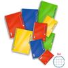 Pigna Blocco spiralato 140 fogli a 4 fori Pigna Apache A4 5mm assortiti 02138065M
