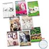 Pigna Quaderno 42 fogli PIGNA Dolci Cuccioli A4 a quadretti 4M assortiti 02307694M