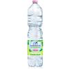 san-benedetto Acqua minerale 1,5 L Ecogreen San Benedetto naturale in conf. da 6 bottiglie - 1755