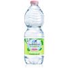 san-benedetto Acqua minerale 500 ml San Benedetto Ecogreen naturale in conf. da 24 pezzi - 1883