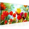 Runa Art Quadri Moderni Fiori Tulipani Tela Non Tessuta Soggiorno Corridoio Prato Fiorito Erbe Colorato 201912a
