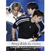 FlipFlop Stray Kids da vicino: La biografia illustrata non autorizzata