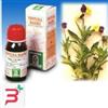 SPECCHIASOL SRL VIOLA DEL PENSIERO 32 50ML TM