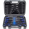 HASKYY Set di 12 cacciaviti magnetici I Set di strumenti I Croce + SC