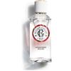 Roger & Gallet Gingembre Rouge Acqua profumata 100 ml - Roger & gallet - 984356790