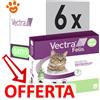Ceva Vectra Felis 0,6-10 kg - Offerta [PREZZO A CONFEZIONE] Quantità minima 6 Confezioni
