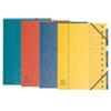 EXACOMPTA Classificatore numerico 1-12 Nature Future - 12 scomparti - 24x32 cm - colori assortiti - Exacompta (unità vendita 1 pz.)