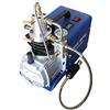 CLEADONG Compressore automatico PCP, 300 bar, 4500 psi, pompa ad aria ad alta pressione, 30 mpa, gonfiatore ad alta pressione, 220 V, 50 Hz, pompa ad aria ad alta pressione, per test di tenuta d'aria,
