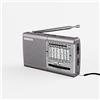 XHDATA D219 Radio Portatile FM AM SWRadio Vintage da Casa Escursioni in Campeggio Radio Casa Argento