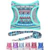 Moonpet Step in Air Boy - Set con pettorina e guinzaglio per cani, in rete imbottita, riflettente, anti-tiro, adatta a tutte le condizioni atmosferiche, per gatti, cuccioli di taglia XS, piccola,