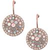 Fossil Women's Stainless Steel with Hook closure Earrings