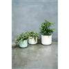 Ivyline Vaso per Piante, Ceramica, Bianco, 13.5 cm