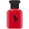 Ralph Lauren Polo Red Eau de Toilette da uomo 40 ml
