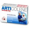 GRICAR CHEMICAL ARTICOLENE FORTE 60 TAVOLETTE