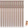 GBKDQQ 12 matite magiche in legno naturale, multifunzionale, per feste magiche a tema, regali, decorazione a tema, decorazioni per feste, regali di compleanno