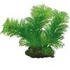 Hobby Egeria, 13 cm