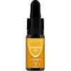 Plastimea VITAMINA D3 K2 MK7 | Integratore in Gocce con Olio Di Oliva BIO | 1000 UI | Menachinone e Colecalciferolo | Supporta il Sistema Immunitario | Per Ossa, Denti e Muscoli | Flacone 10 ML